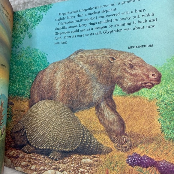 Prehistoric Animals vtg 1978 paperback book 8" used by Peter Zallinger - Picture 10 of 12